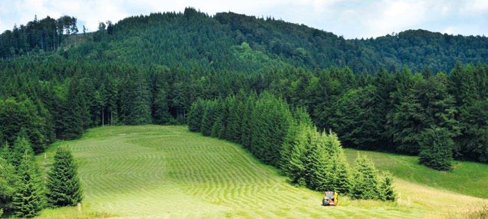 CHPO Poľana sa nachádza v Banskobystrickom kraji, v okresoch Banská Bystrica, Brezno, Detva a Zvolen, pričom jej súčasná výmera je 20 659 ha poľovnej plochy, z toho 18 309 ha lesa a 2 350 ha poľa.