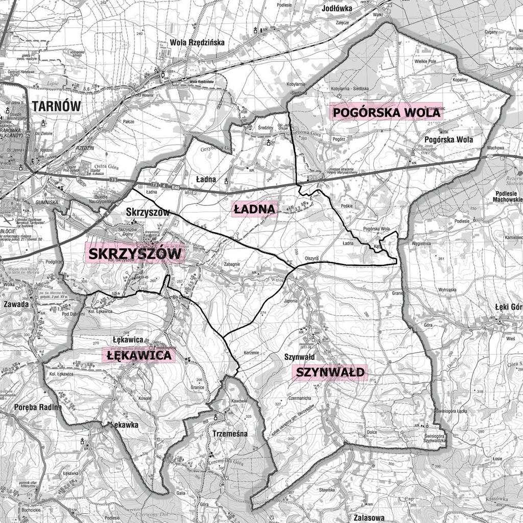 3. WYZNACZENIE OBSZARÓW KRYZYSOWYCH DO DIAGNOZY W GMINIE SKRZYSZÓW.