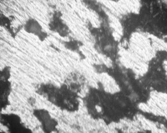 microscopic study examples of porosity obraz SE obraz