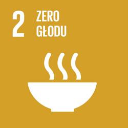 W celu ochrony praw uchodźców z Palestyny zgodnie z przepisami prawa międzynarodowego UNRWA przyjęła następującą strategię ochrony: zapewnianie ochrony w ramach programów świadczenia usług poprzez