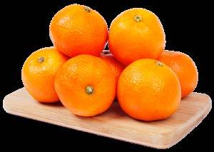 marchew-