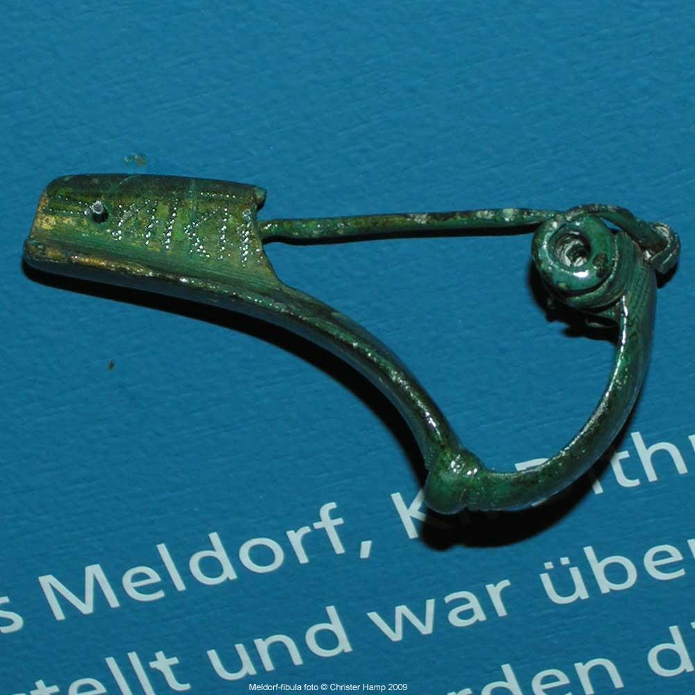 Fibula z