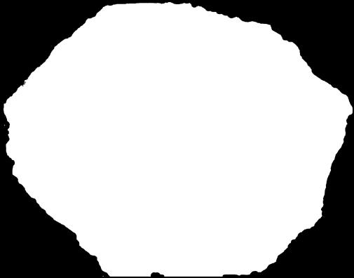 nasięźrzału