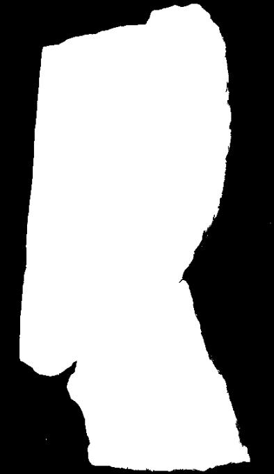 Zosterophyllum dewon