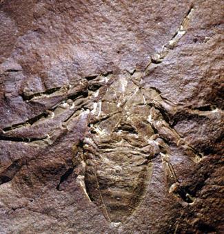 Selden et al.