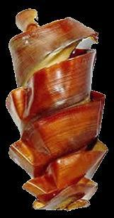 Palaeoxyris karbon