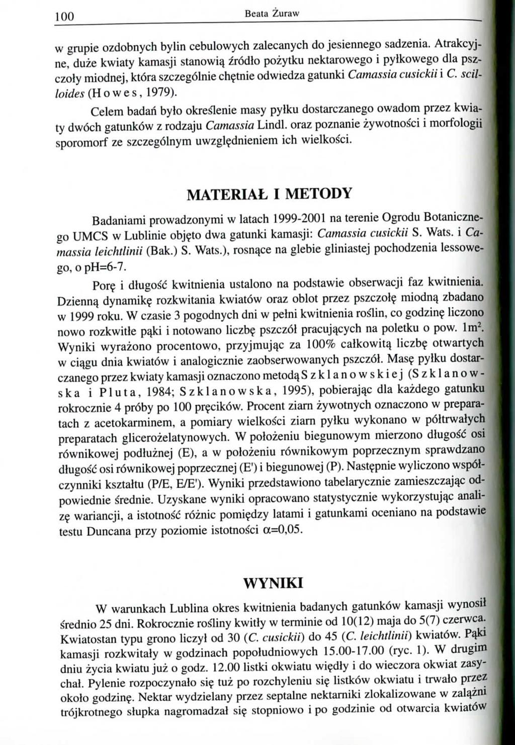 100 Beata Zuraw w grupie ozdobnych bylin cebulowych zalecanych do jesiennego sadzenia.