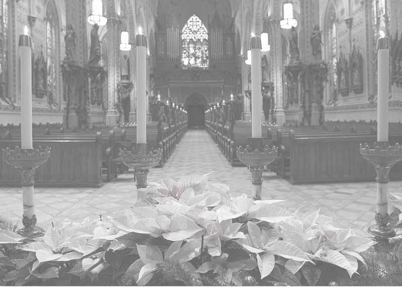Shrine Church of ST. STANISLAUS New Parishioner Registration Eucharistic Minister Schedules Do you attend St. Stanislaus but are not yet registered in your own name?