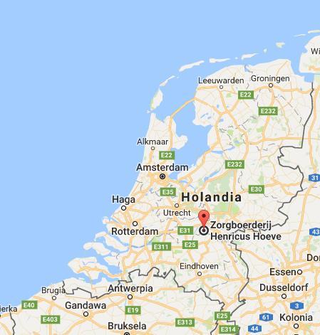 Holandia Źródło: https://www.google.
