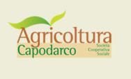 Gospodarstwo Agricultural Capodarco -> zasoby gospodarstwa: - 4 ha własnej ziemi, 6 ha dzierżawy winnicy, 15 ha gajów oliwnych - restauracja, sklep, miejsce do realizacji warsztatów, piwnica z