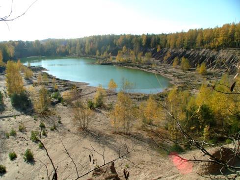 powierzchnia zalesiona w okolicy Nowych Czapli, 5 jezioro antropogeniczne w odkrywce w okolicy Nowych Czapli, 6 ogród skalny w okolicy Nochten (fot. 3 KWB Konin, 4-6 aut.