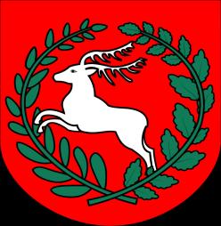 Terytorialnie gminna jednostka samorządowa obejmuje 27 miejscowości: Jasnosz, Orle Gniazdo, Wielgolas, Rozłąki, Stary Patok, Nowy Patok, Laski, Budki, Kasyldów, Feliksin, Teodorów, Ruda, Gołe Łazy,
