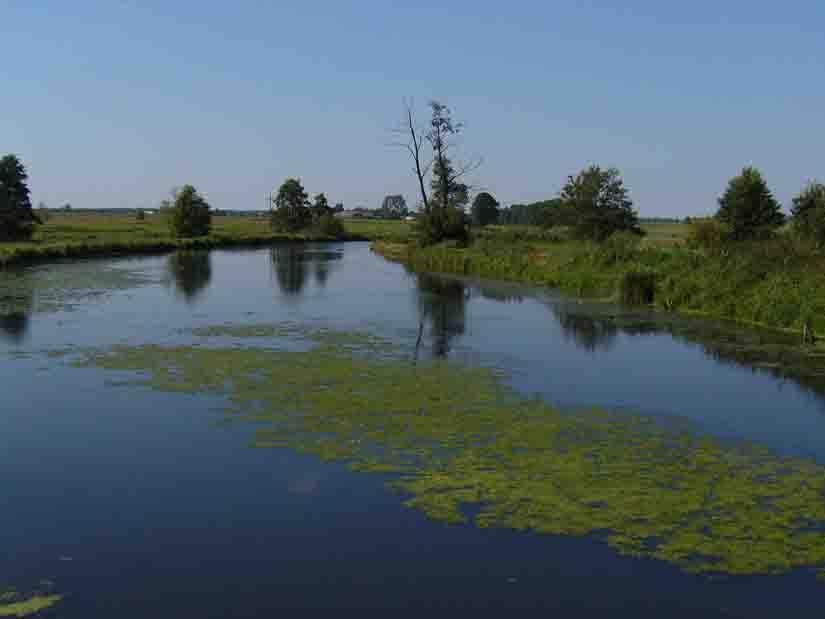 Długość rzek przepływających przez Powiat Łukowski wynosi łącznie 245 004 m, w tym: w zlewni Wisły 56 974 m rzek, w zlewni rzeki Wieprz 129 250 m rzek, w zlewni Bugu 58 780 m rzek.