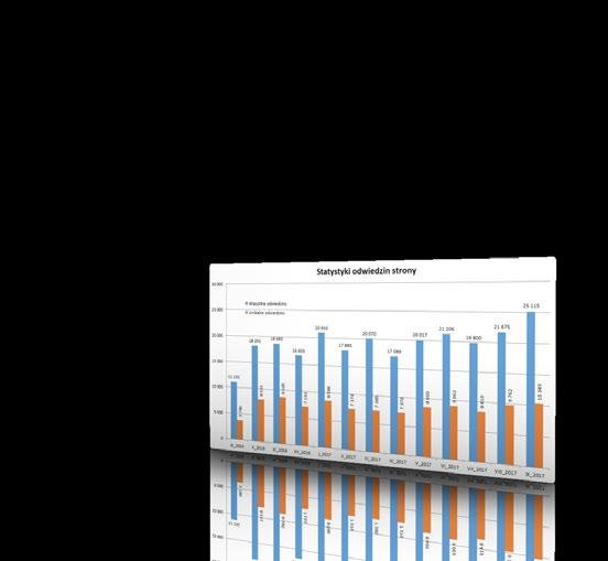 STATYSTYKI Głównym elementem informacyjnym portalu są fachowe publikacje o produktach i