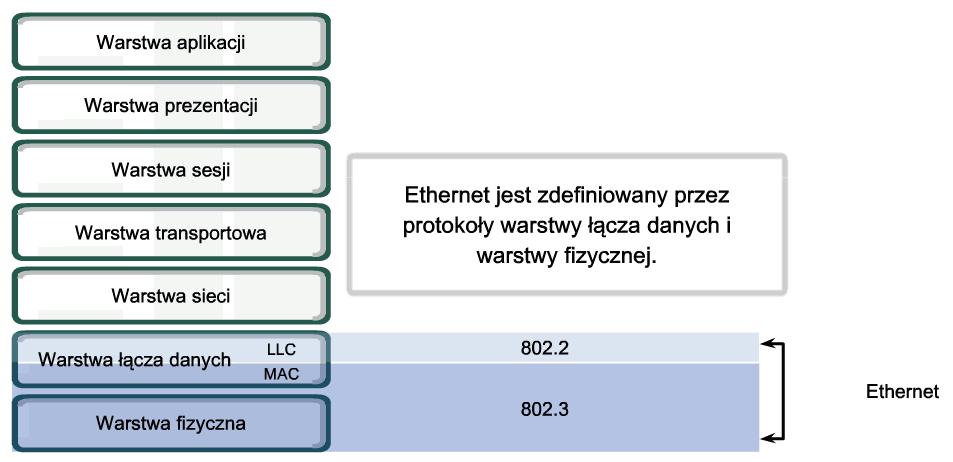 2 Ethernet działa w dwóch warstwach modelu OSI.