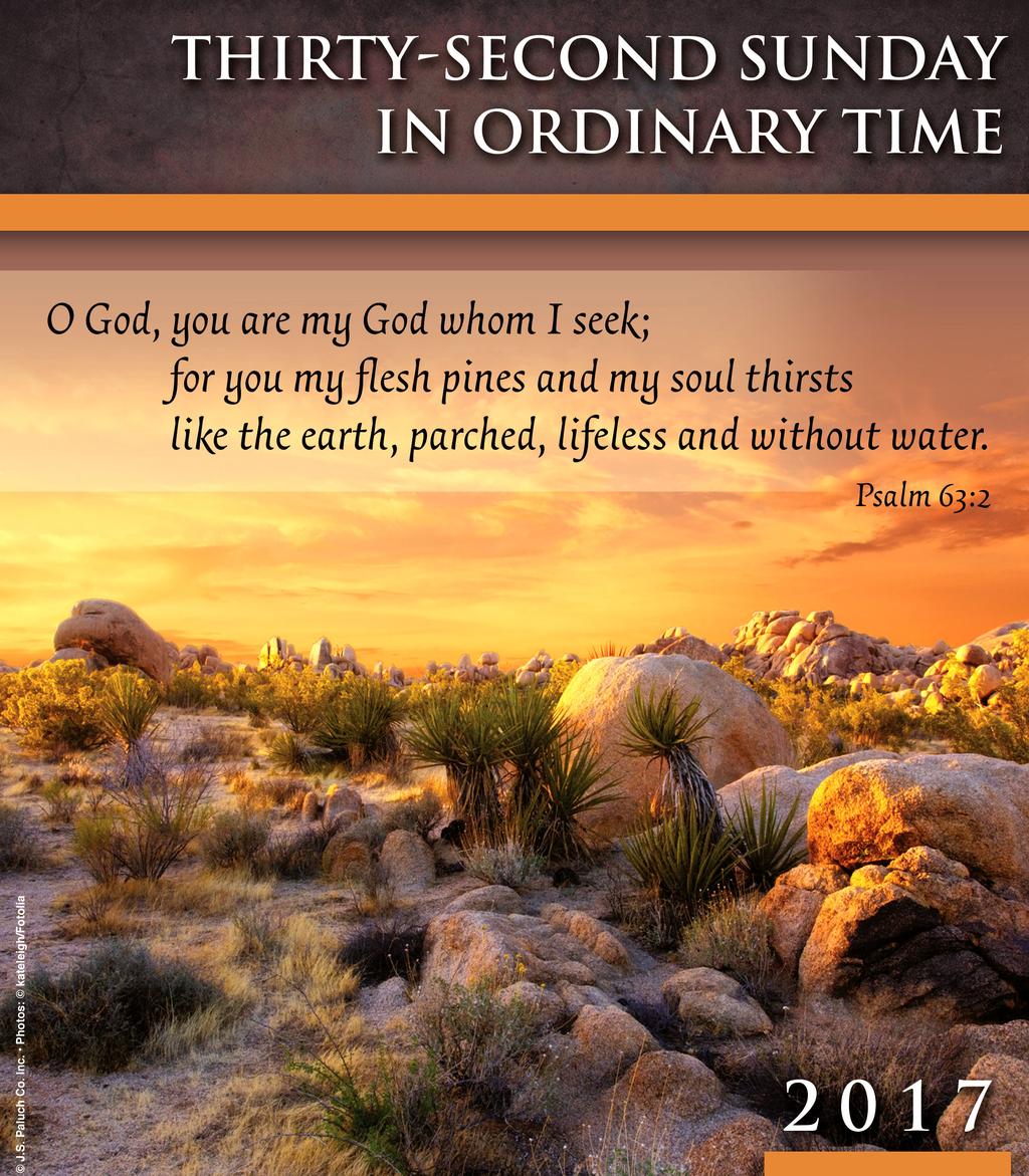Schedule: Saturday Vigil Mass: 4:00 pm - English Sunday