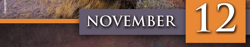 Polish First Friday Masses: 8:30 am - English 7:30 pm -