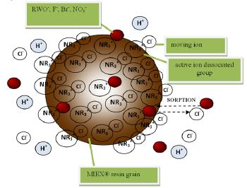 M. R a j c a a b Figure 1. The scheme of processes mechanisms: a) ion exchange on the MIEX resin, b) the adsorption on the activated carbon particles.