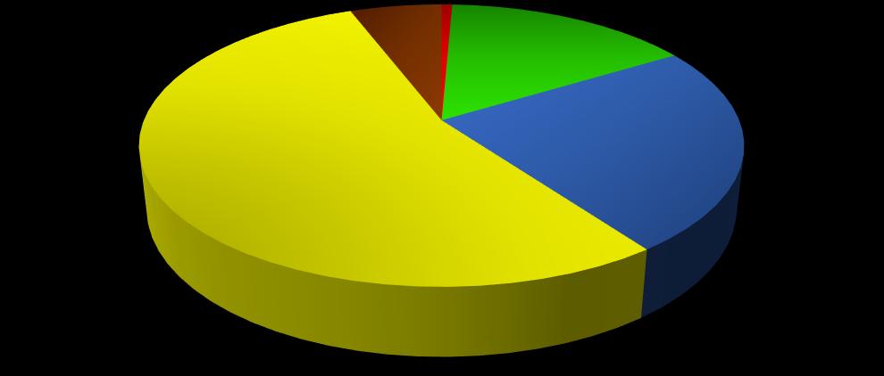 Typy raportów w procentach Pioruny 6% Trąby powietrzne <1% Grad 16% Wiatr 54% Deszcz 23% Trąby powietrzne Grad Deszcz Wiatr