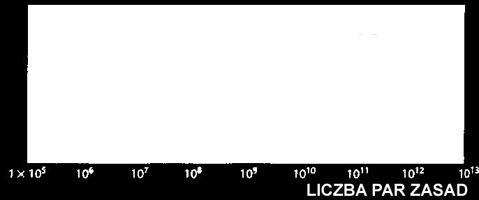 Prokaryota więcej DNA to większe