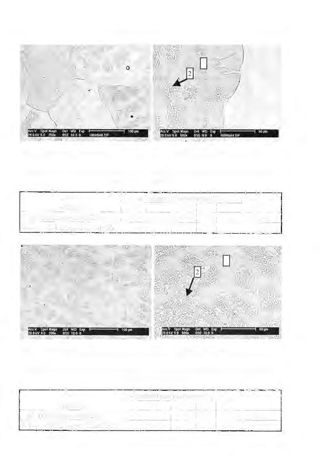 141 Rys. 5. Struktura stopu nr l po wygrzewaniu w 1200 C przez 100 godzin (argon). Tabela. IV.