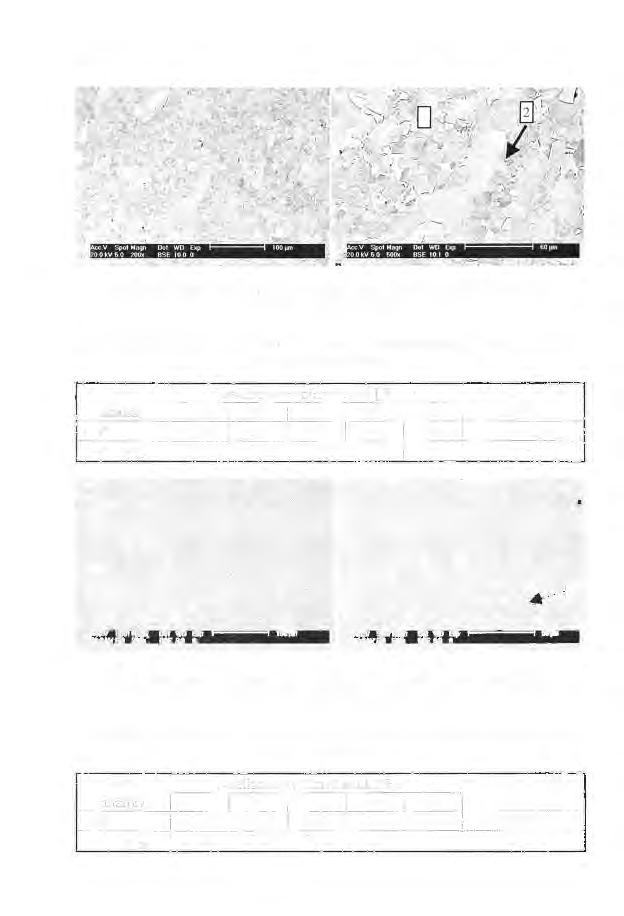 142 V Spot Magn Oet WO Exp 60 llfn :?OOkV60 600x BSE 101 O Rys. 7.