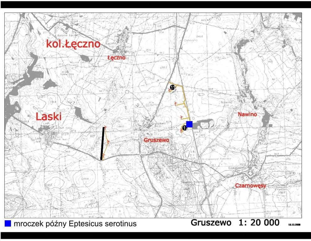 Ryc. 3d. Rozkład przestrzenny stwierdzeń poszczególnych gatunków nietoperzy na monitorowanej powierzchni Gruszewo.