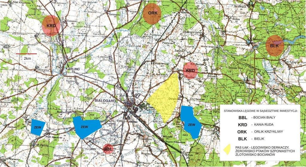 3) Bocian biały W rejonie usytuowania obszaru zmiany studium gniazda bociana białego znajdują się w miejscowościach Klępino Białogardzkie, Żyletkowo, Dobrowo, Dargikowo i w Kolonii Dargikowo.