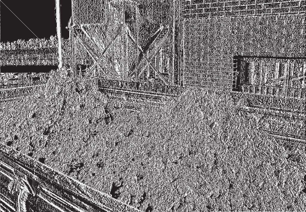 Inżynieria Ekologiczna Nr 25, 2011 Rys. 1. Osad mleczarski w oczyszczalni ścieków w Wysokiem Mazowieckiem Fig. 1. The sewage sludge in WWTP in Wysokie Mazowieckie Rys. 2. Pryzmy kompostowe Fig. 2. The compost heaps Metody badawcze Badania w warunkach statycznych prowadzono według powszechnie stosowanej metodyki [8,10,11,14,16].