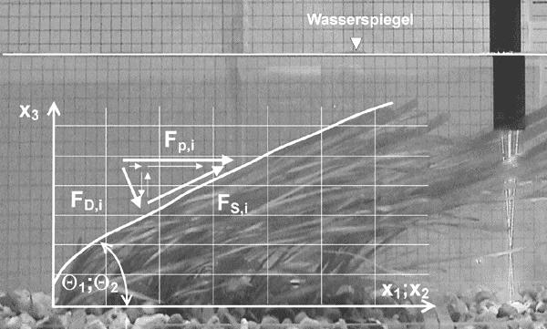 Tomasz Kałuża, Tomasz Tymiński F = F D + F S (8) przy czym: 1 2 FD = ρ u CD LAI l d sin θ (9) 2 1 2 FS = ρ u λp LAI l d cosθ (10) 8 gdzie: λ p współczynnik oporu powierzchni liści [-], C D