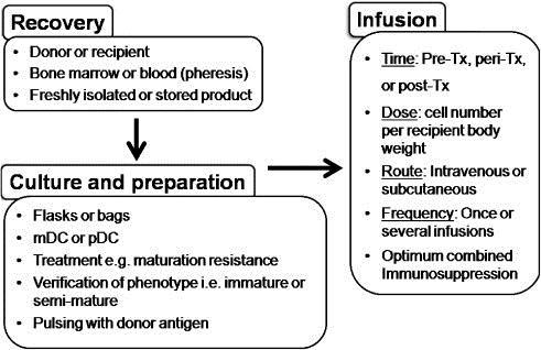 Terapeutyczne zastosowanie tol DC w transplantacji