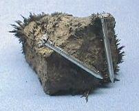 Naturalne namagnesowanie magnetytu (William Gilbert, 16 De