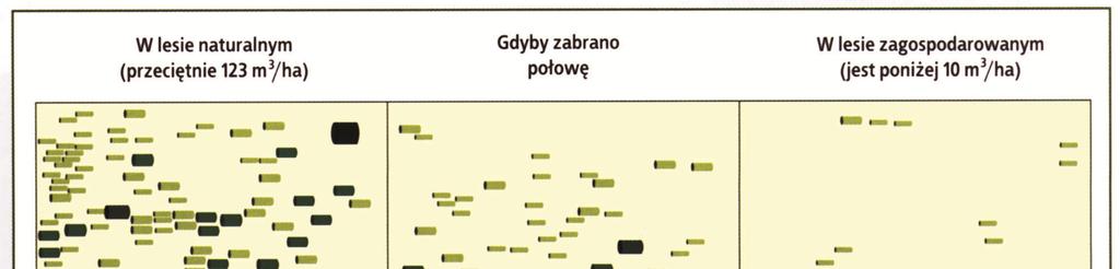 Co to jest zapas? Zapas drewna na pniu to łączna miąższość drewna drzew rosnących na danym terenie (bez odniesienia do jednostki powierzchni) [m 3 ].