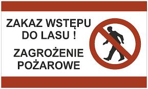 Sposób zabezpieczenia ogniska określa nadleśniczy, wydając pisemną zgodę na jego rozpalenie. Najczęściej polega to na usunięciu ściółki leśnej i na odsłonięciu pasa gleby mineralnej wokół ogniska.