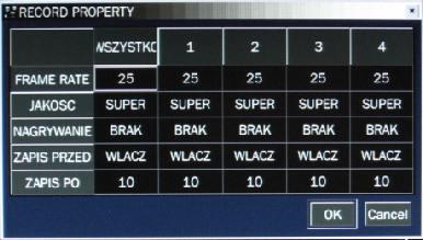 Indywidualne ustawienia i konfiguracja dla każdego kanału. System detekcji ruchu.