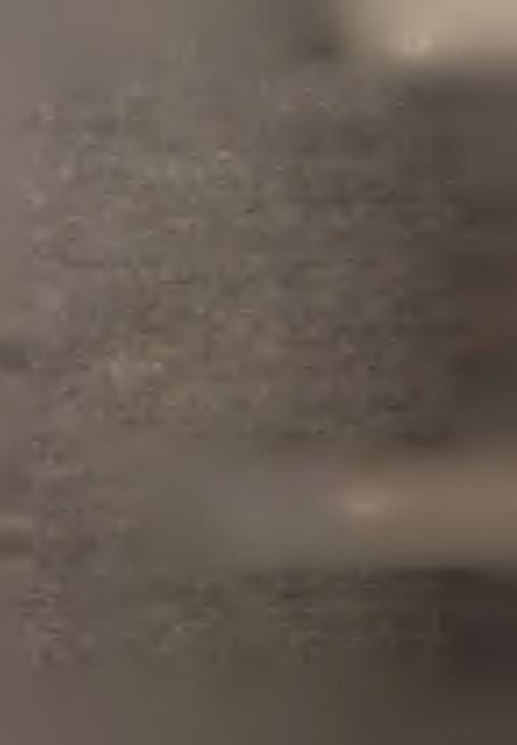 Przeeg pr w zkrese Nrodowego Spsu Powszehnego V mesąu lstopdze przed rozpozęem szkoleń rhmstrz6w spsowyh Wojewódzke Buro Spsowe w Częstohowe przeszkolło kerownków ur spsowyh stopn podstwowego.