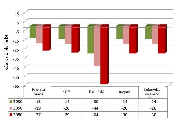 Zmiana poziomu plonowania roślin w województwie podlaskim (%) prognozowana na lata 2030, 2050, 2080 w stosunku do warunków aktualnych Źródło: Sadowski M., Wyszyński Z., Górski T.