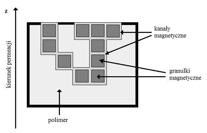 81 U exp( p kt c = U 1+ exp( kt q = 1 p c c channel polymer ) channel polymer ) (81) Dla diamagnetycznego azotu zmiany energii potencjalnej związanej z polem magnetycznym są dużo mniejsze niż energia