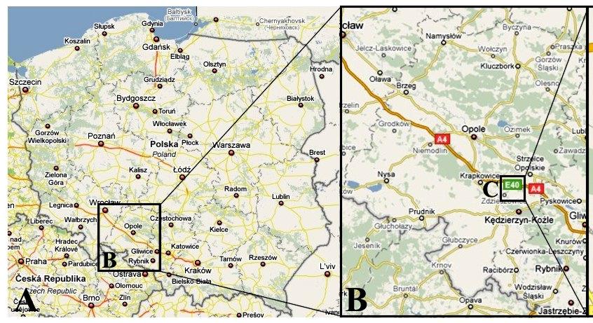 170 K. Stanienda, M. Kokowska-Pawłowska, M. Marcisz Fig. 1. Location of Saint Anne s Mountain [10] Rys. 1. Lokalizacja Góry Św. Anny [10] 2.