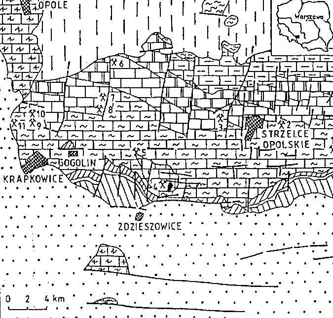 Geotouristic qualities of Chełm hummock 171 The upper parts of Dziewkowice layers and almost full profile of Karchowice layers are exposed in St. Anne s Mountain amphitheatre. Fig. 2.