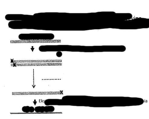 FIG. 6 1