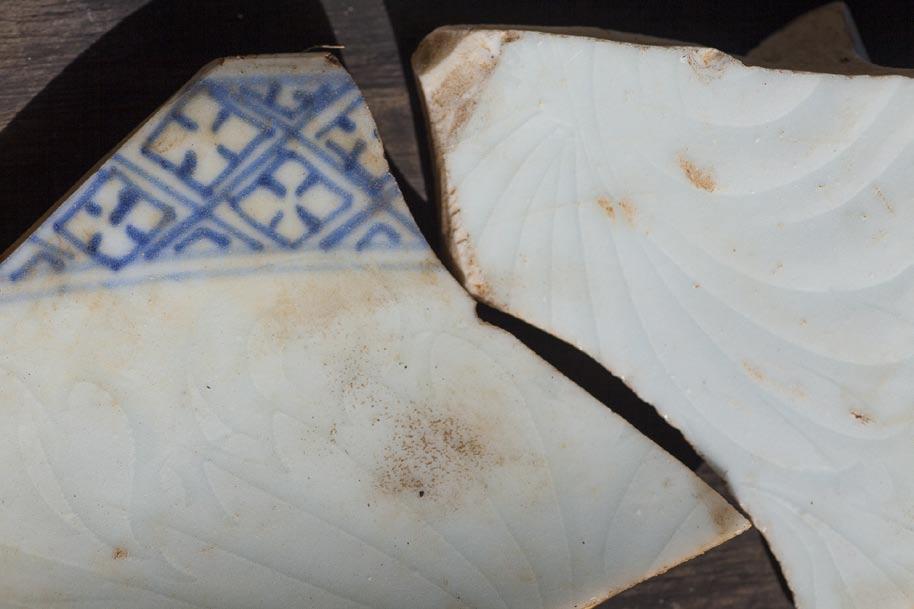 wzoru Fragment filiżanki ze