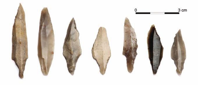 [155] Ryc. 2. Fig. 2. Brzoza (Toruń-Rudak), gm. Wielka Nieszawka. Wybrane liściaki z badań przeprowadzonych na początku lat 70. XX wieku; ze zbiorów Muzeum Okręgowego w Toruniu (fot. K.