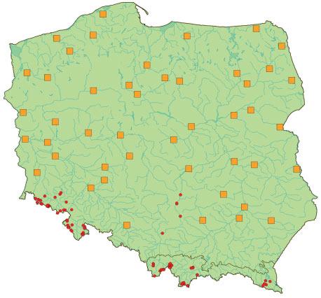 Monitoring siedlisk przyrodniczych tom trzeci lium, starzec Fuchsa Senecio fuchsii, szczaw górski Rumex alpestris, jaskier platanolistny Ranunculus platanifolius, zerwa kłosowa Phyteuma spicatum,