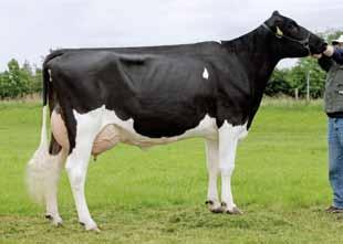 Newhouse Ronald Etazon Annecy 2 a ka - k az e AB i na Aina Fortune BY+ Ur. 15.