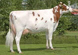 Stollberg Doublette Almerson Camera Red Mina 167 ET Suerczemion wystawy NRM w Utrechcie w 2010 