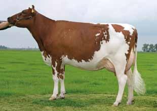 Andries Kitty 24 Lightning Holland Jalta a ka - k az e BB i na Delta Fidelity Ur. 11.09.