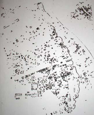 KRYSTYNA GURANOWSKA-GRUSZECKA 13 Fig. 3a.