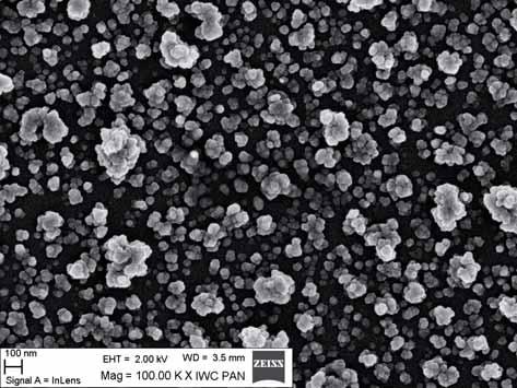 . Morfologia nanoproszków Wp yw dodatku metali ziem rzadkich na morfologi i aglomeracj nanoproszków przebadano przy u yciu mikroskopu skaningowego.