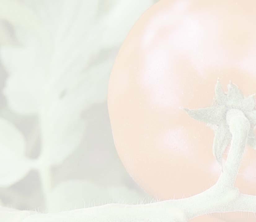 Si³a wzrostu: wzrost œrednio silny, roœlinê mo na prowadziæ na 2 pêdy.